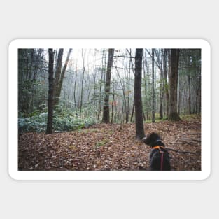 Monty on the Overmountain Victory Trail Sticker